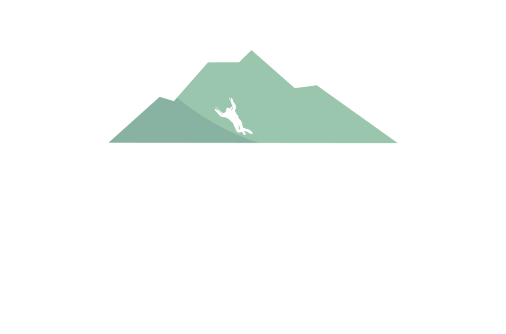 Silhouette of a climber reaching upwards on a stylized green mountain. The image suggests adventure and outdoor exploration. The overall design has a simplistic and modern aesthetic.